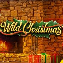 Слот Wild Christmas — играть бесплатно онлайн